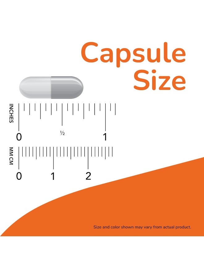 NOW Foods Curcubrain Cognitive Support 50 Vegetarian Supplement (400 Mg) - Image 3